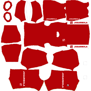 Kit DLS Hải Phòng 2023 - 2024 sân nhà