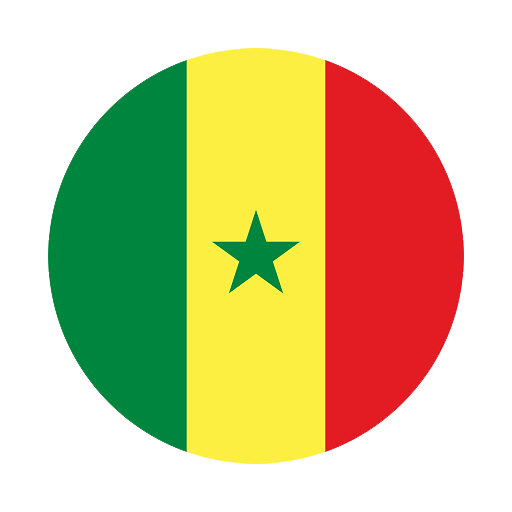 Logo Senegal DLS 512 x 512
