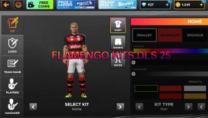 Flamengo Kits DLS 25