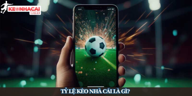 Giải Thích Tỷ Lệ Kèo Nhà Cái