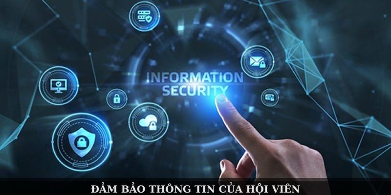 Thể Thao Zbet