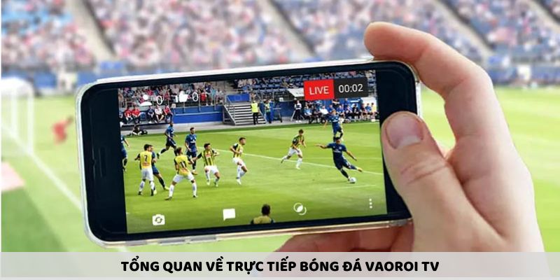 Trực Tiếp Bóng Đá Vaoroi