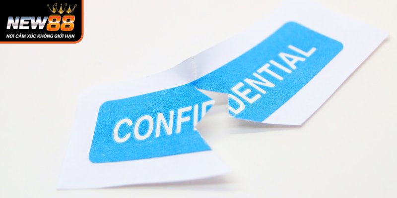 New 88 - Phân Tích Điều Khoản Khuyến Mãi