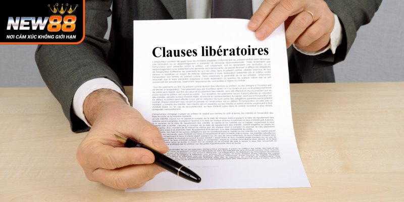 New 88 - Phân Tích Điều Khoản Khuyến Mãi