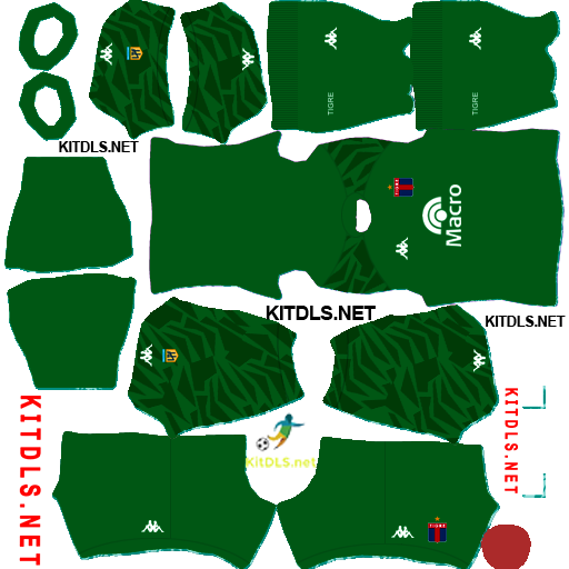 CA Tigre GK1 Kit 25 26 DLS 26