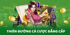 VSBET Login
