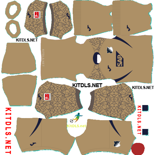 Hoffenheim GK1 Kit 25 26 DLS 26