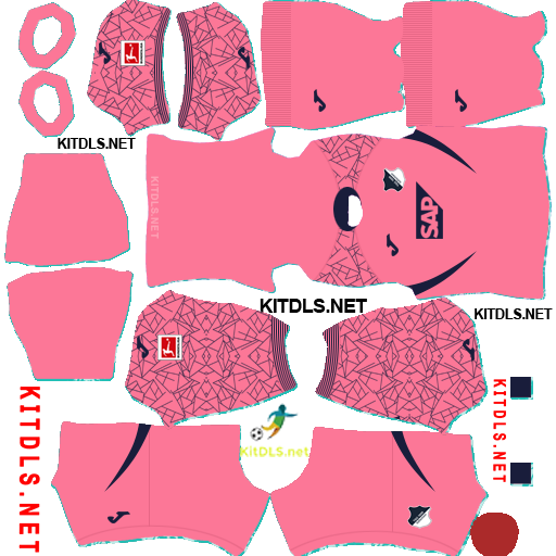 Hoffenheim GK3 Kit 25 26 DLS 26