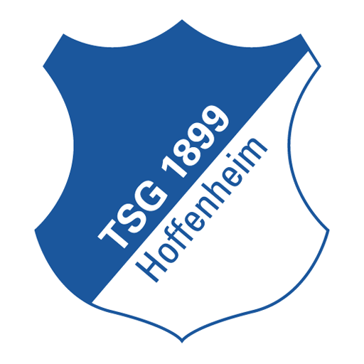 Logo Hoffenheim DLS