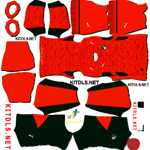 Ivory Coast Home Kit 2026 DLS