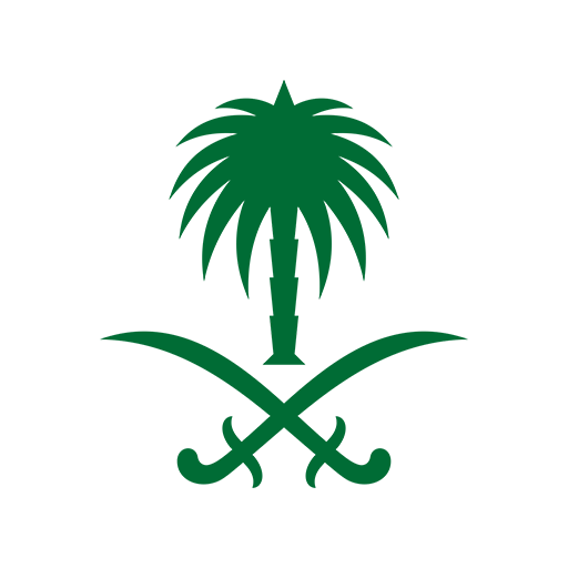 Logo Saudi Arabia DLS