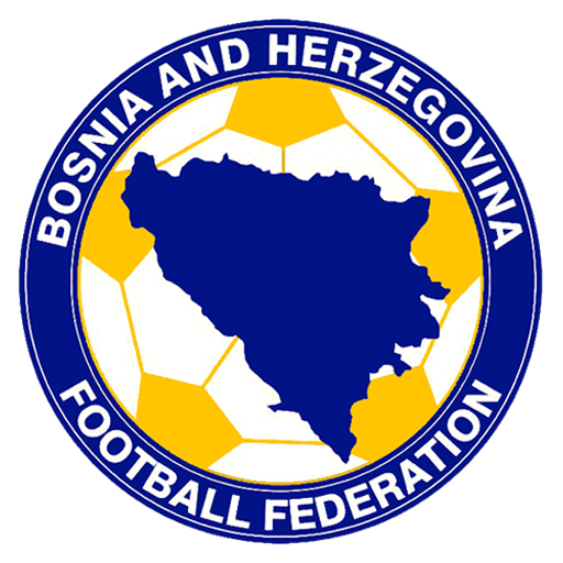 Logo Bosnia Herzegovina DLS