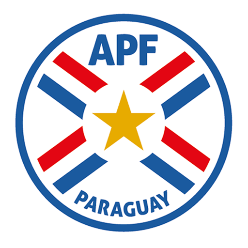 Logo Paraguay DLS