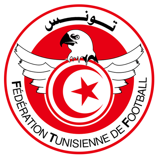 Logo Tunisia DLS