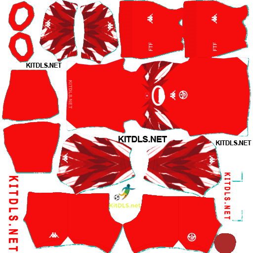 Tunisia Away Kit 2026 DLS