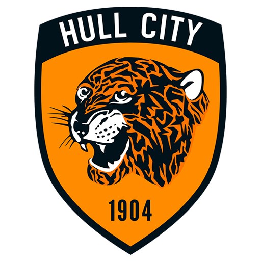 Logo Hull City DLS