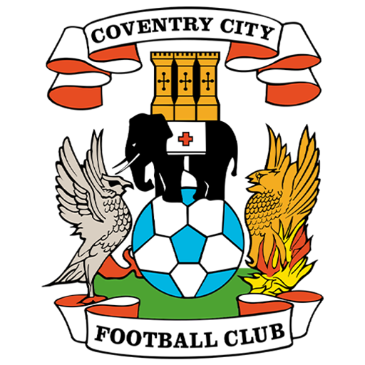 Logo Coventry City DLS
